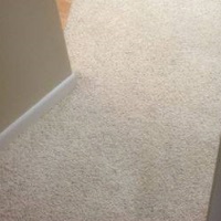 Carpet and Upholstery Treatments